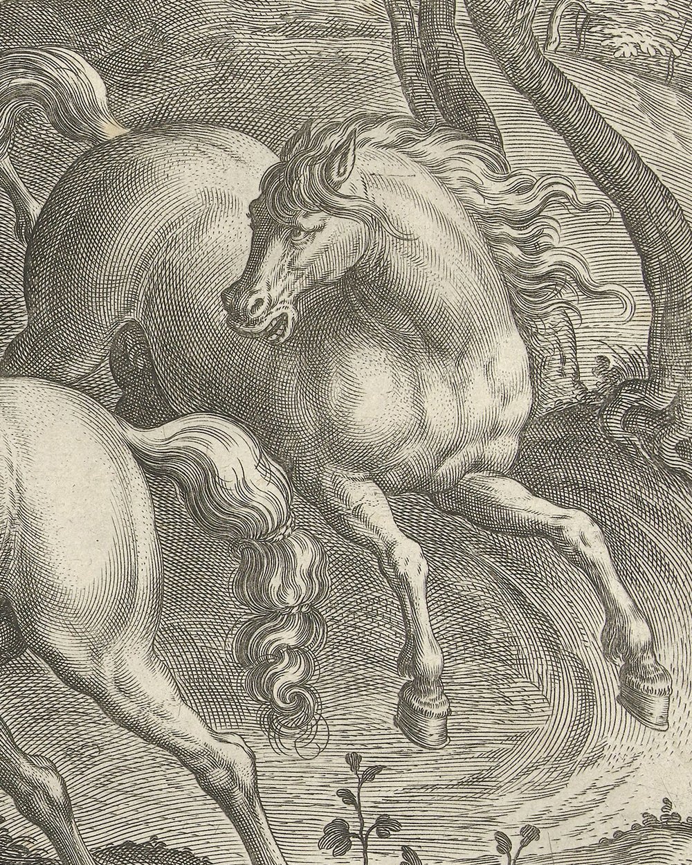''Six fighting horses'' (1578 - 1582)