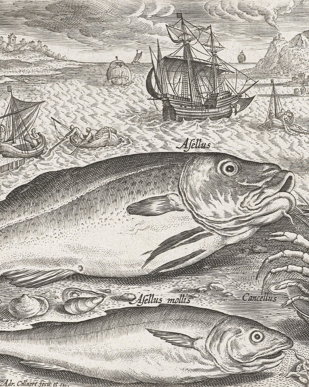 ''Two fish on the beach'' (1598 - 1618)