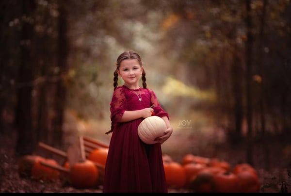 Image of Pumpkin patch 