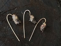 Image 4 of Snapdragon skull earrings - bronze