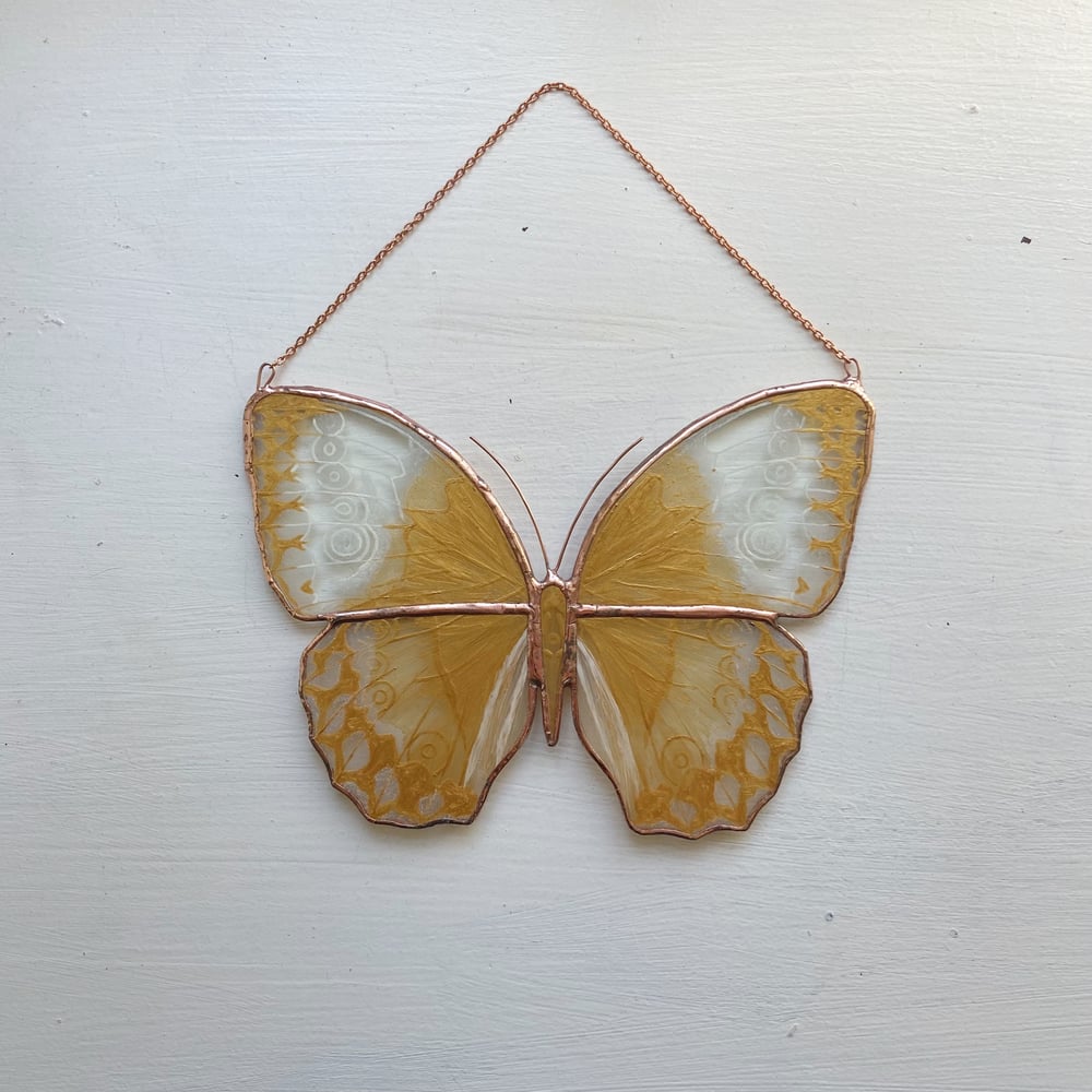 Image of Golden Fauna - Jungle Queen Butterfly