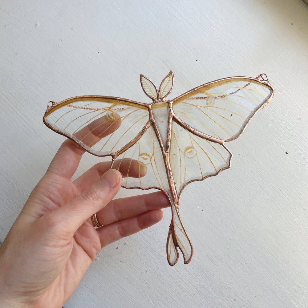 Image of Golden Fauna- Luna Moth