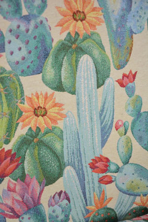 Image of Fauteuil Cactus