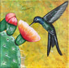 Nopalito Y colibri 
