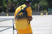 Image 1 of FC⚡️FS Bookbag