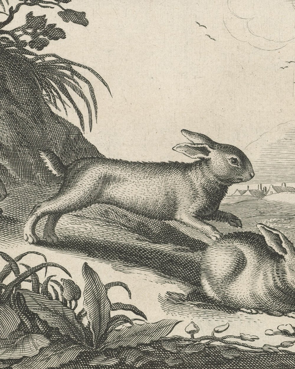''Dune landscape with rabbits'' (1641)