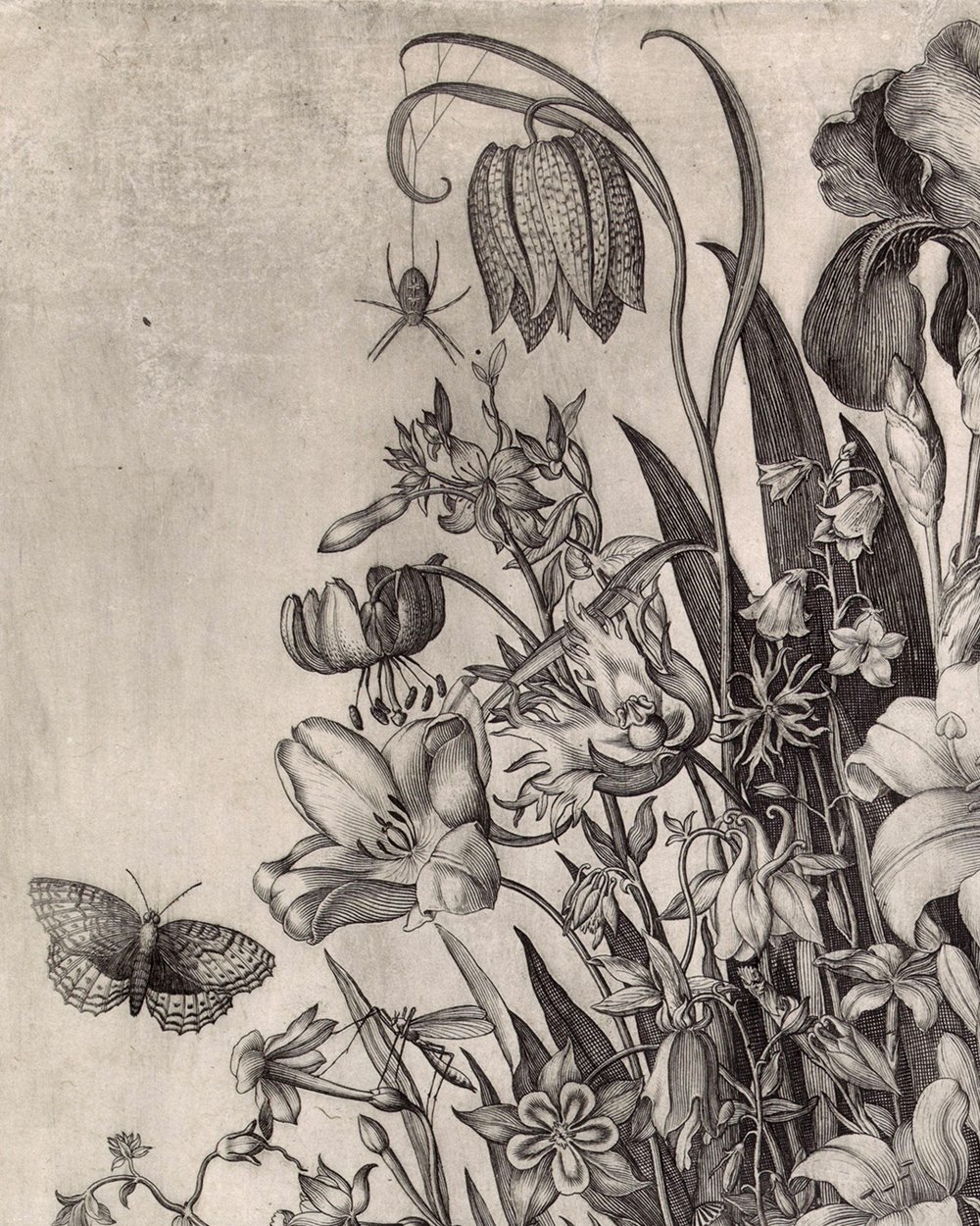 ''Flower Still Life'' (1605)