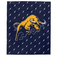 Image 1 of FC⚡️FS Velveteen Plush Blanket