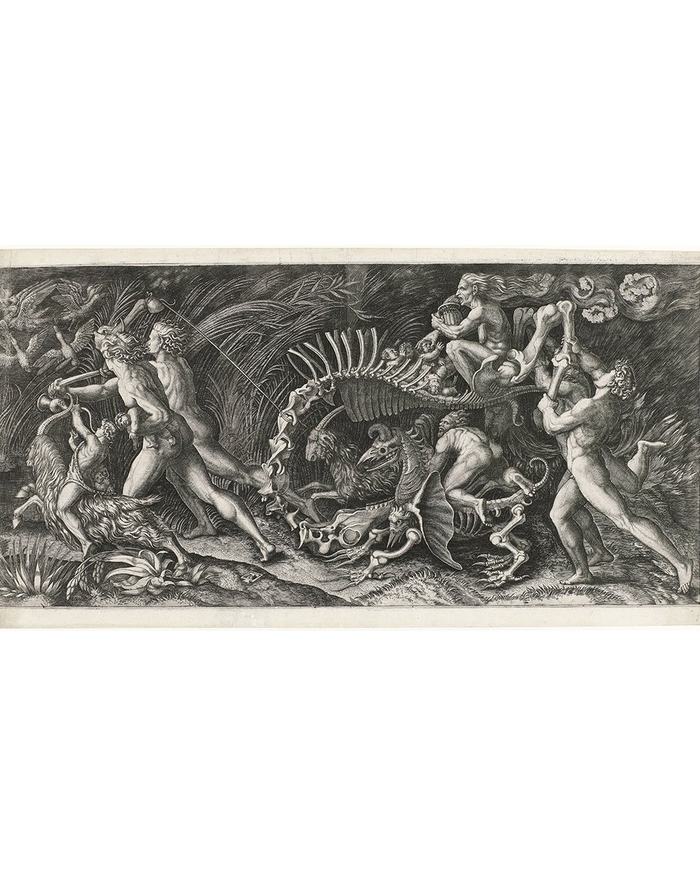 ''The Carcass'' (1520)