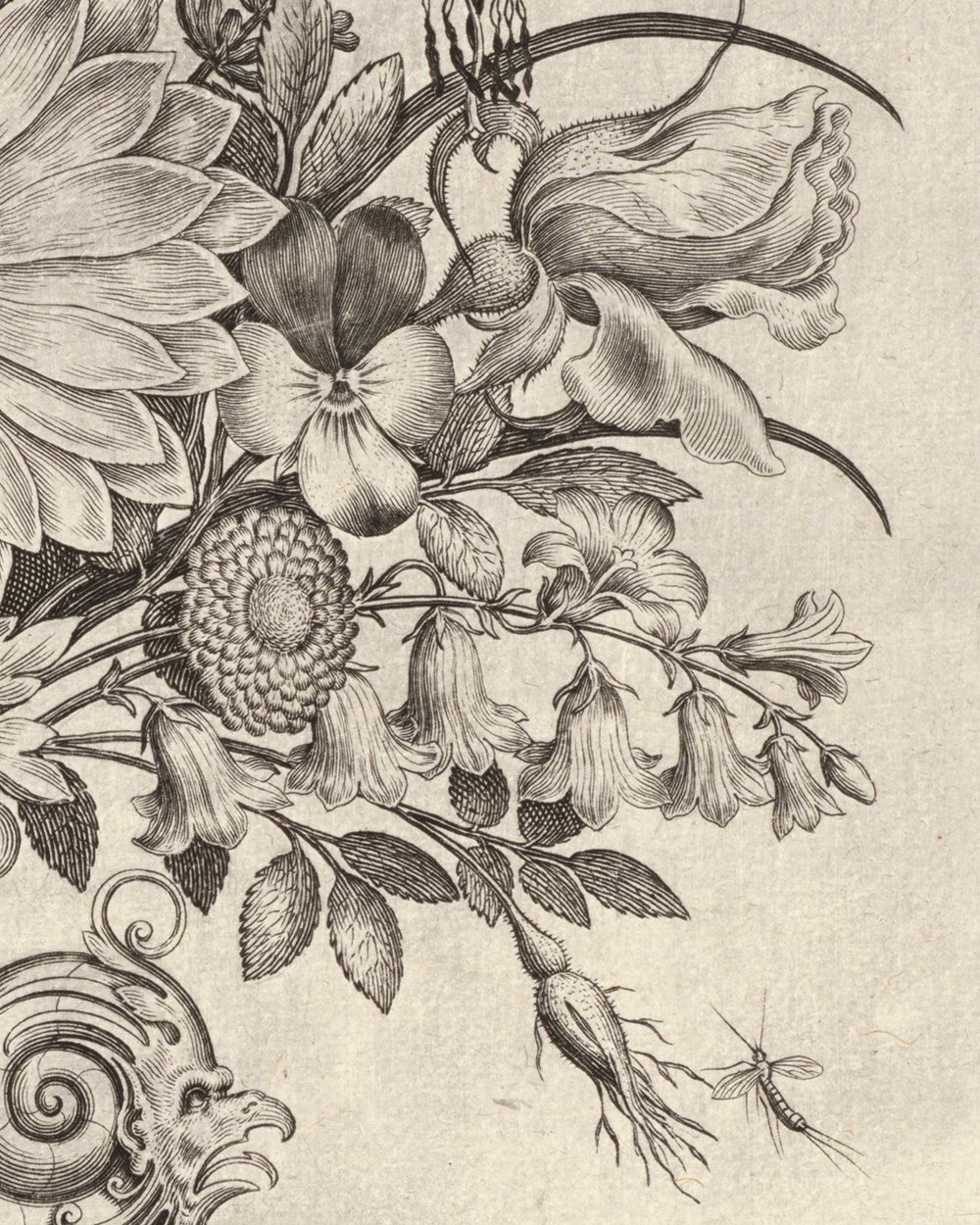 "Polyptoton de Flore (The Variance of Flowers)" (1600)
