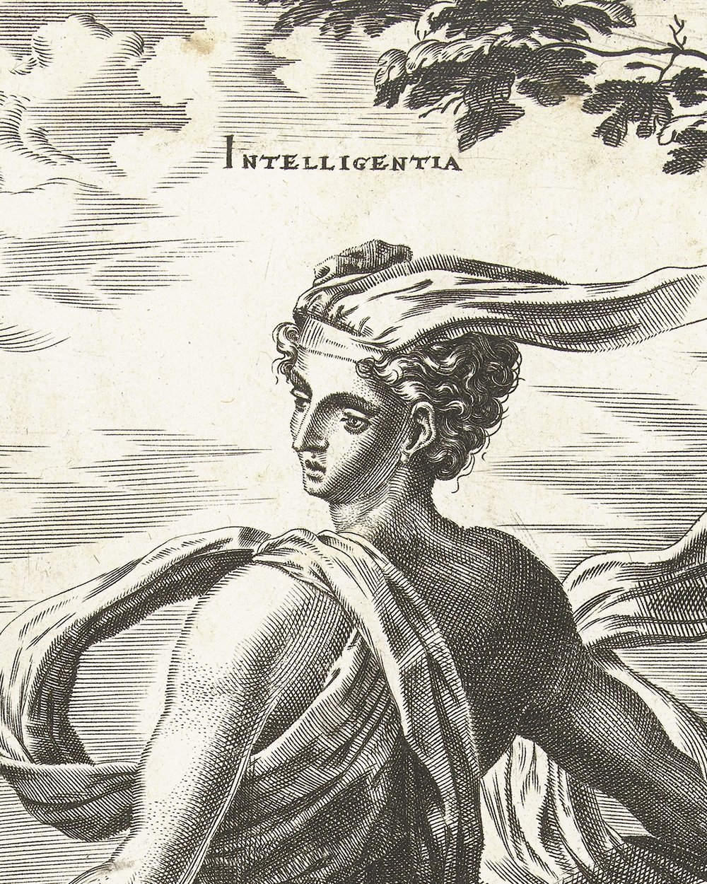 ''Intelligence'' (1560)