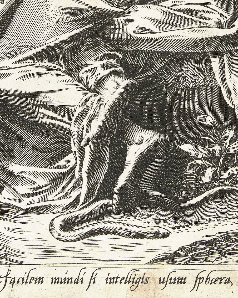 ''Intelligence'' (1560)