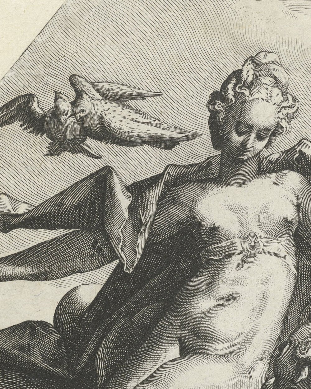 ''Venus'' (1585 - 1589)