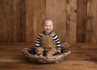 Image 4 of Driftwood Bowl - large