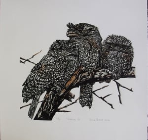 Image of 'Waking up' (Original Reduction Woodcut of frogmouths) (Last available, Artist Proof)