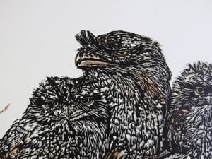 Image of 'Waking up' (Original Reduction Woodcut of frogmouths) (Last available, Artist Proof)