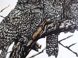 Image of 'Waking up' (Original Reduction Woodcut of frogmouths) (Last available, Artist Proof)