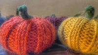 Image 2 of Pumpkin Knitting workshop at Tanyard Studio, Langford Wed Oct 12th 10.30am-12.30pm