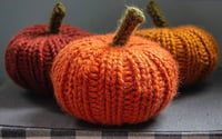 Image 3 of Pumpkin Knitting workshop at Tanyard Studio, Langford Wed Oct 12th 10.30am-12.30pm