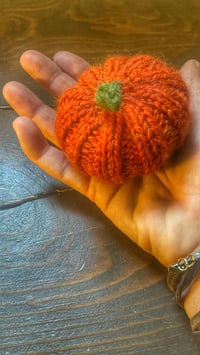 Image 4 of Pumpkin Knitting workshop at Tanyard Studio, Langford Wed Oct 12th 10.30am-12.30pm