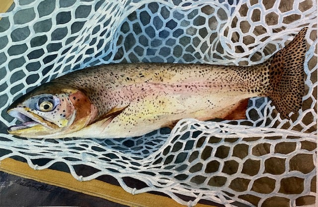 Image of Catch of the Day