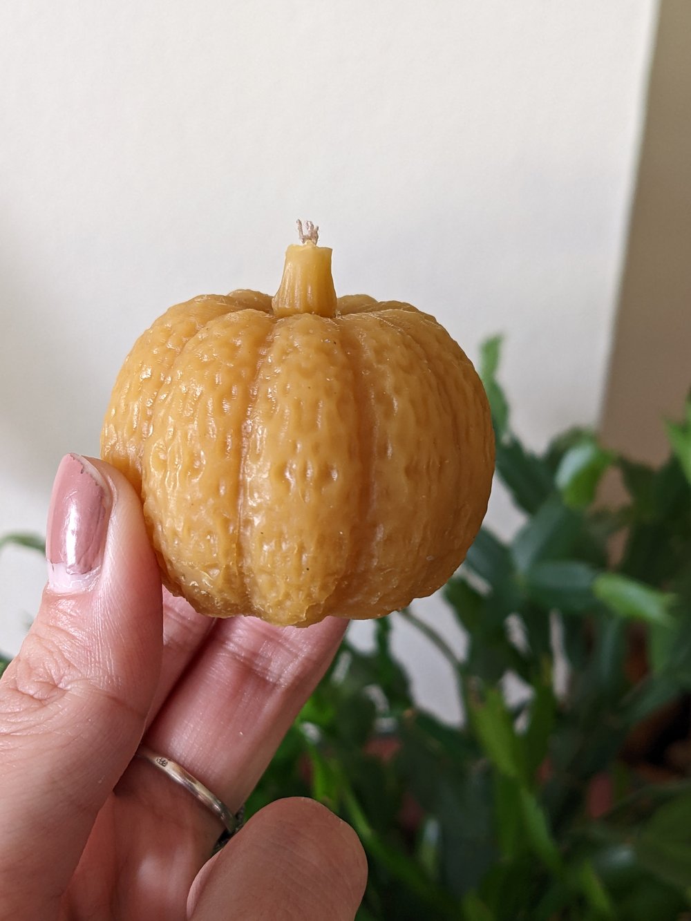 Image of Pumpkin Candle