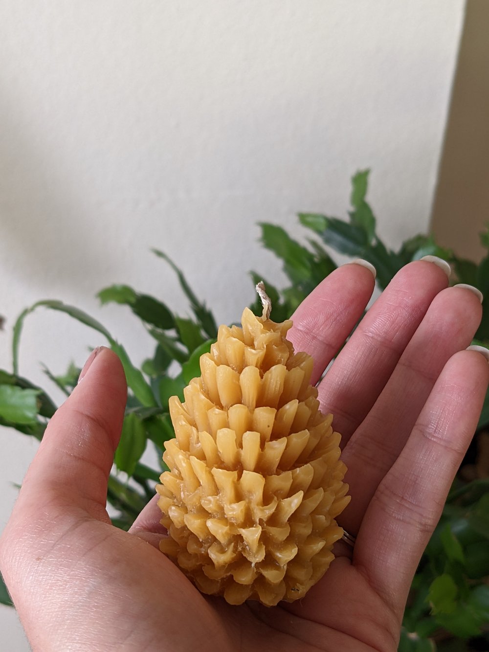 Image of Pinecone Candle