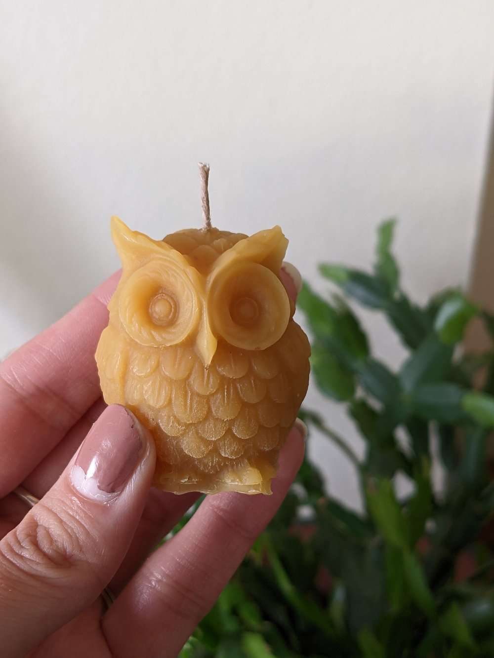 Image of Owl Candle