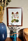 Genuine Nasturtium, Obsession Nandina, Catmint And Mum Leaves In 8" X 10" Frame (Item# 2021168)