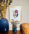 Genuine Chrysanthemum, Rose, Veronica And Hydrangea Wildflower Art In 8" X 10" Frame (Item# 2021148)