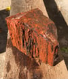 Petrified wood - rainbow chunk 4 lb 2.6 oz