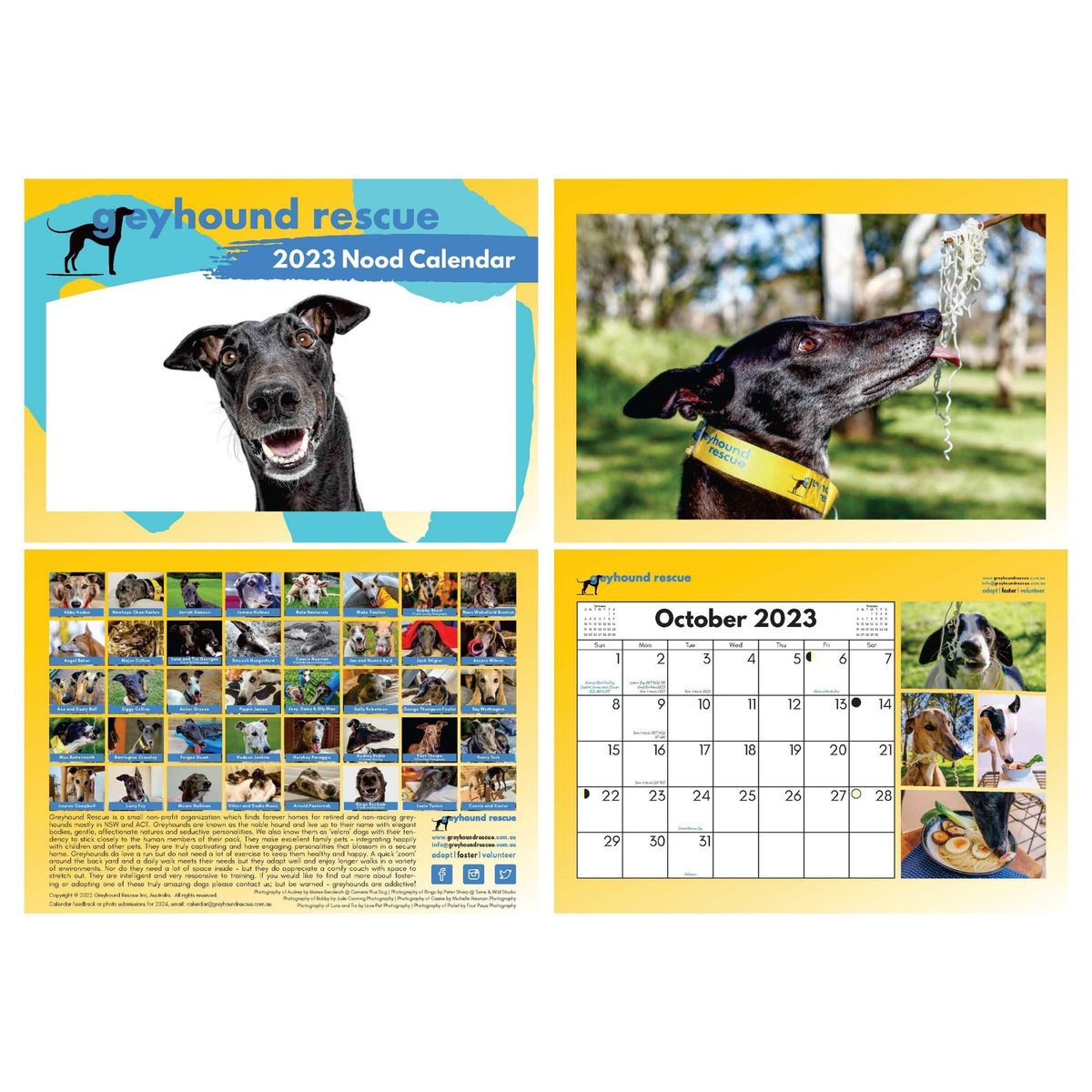 Greyhound Rescue 2023 Nood Calendar Greyhound Rescue