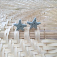 Image 4 of Sea Stars