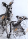 Original drawing of a mother and teen kangaroo 