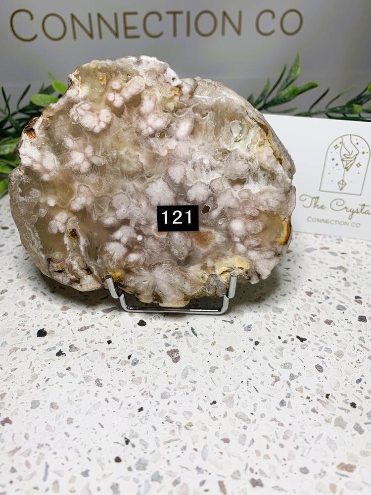 Image of Flower agate slabs with stands 120, 121. 