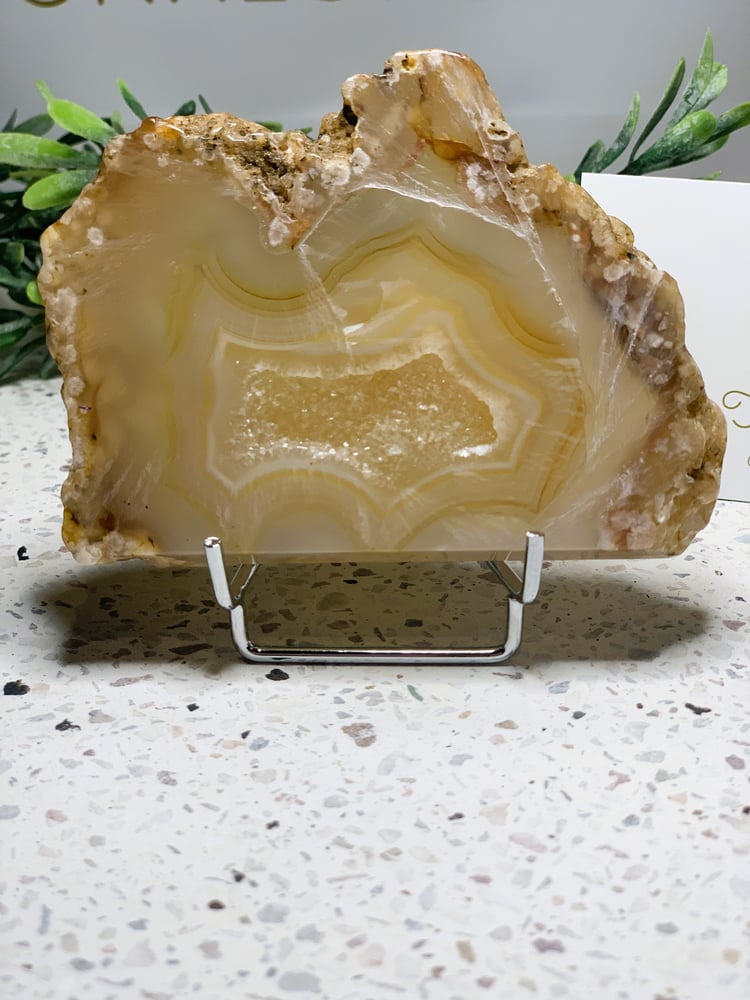 Image of Flower agate slabs with stands 120, 121. 