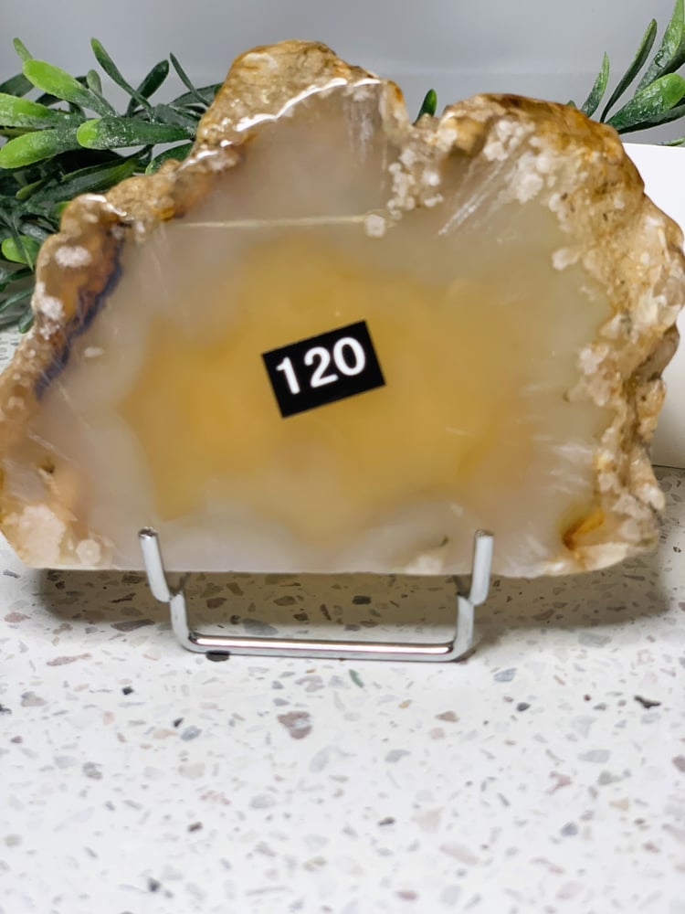 Image of Flower agate slabs with stands 120, 121. 