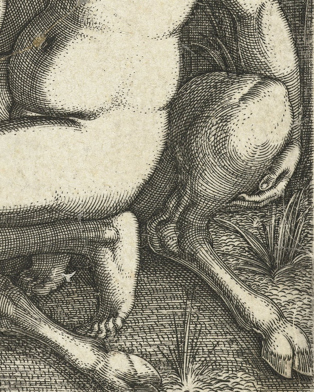 “Nessus en Deïnira” (1510 - 1550)