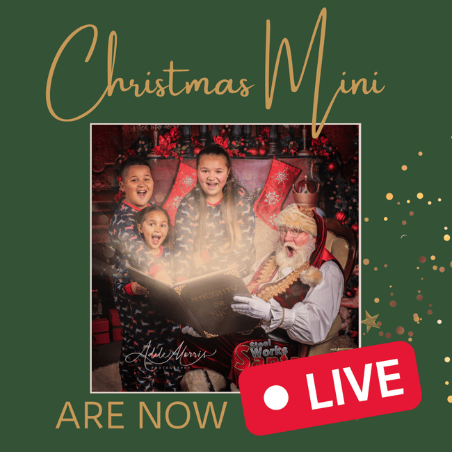 2023 SANTA BOOKING DEPOSIT FOR NOVEMBER: With Santa and the family Claus.