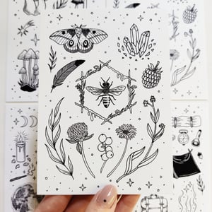 Limited print Flora & Fauna