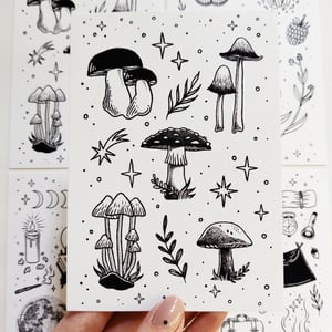 Limited print Mushrooms