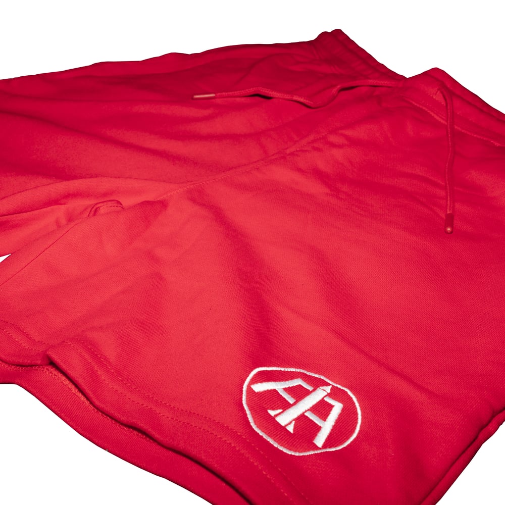 Red Aero Logo Embroidered Shorts 