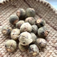 Xakuxaku - African Chewing Gum-  Matohwe