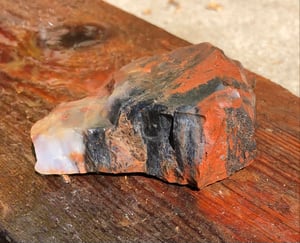 Image of Petrified wood - lil' black & red 8.3 oz