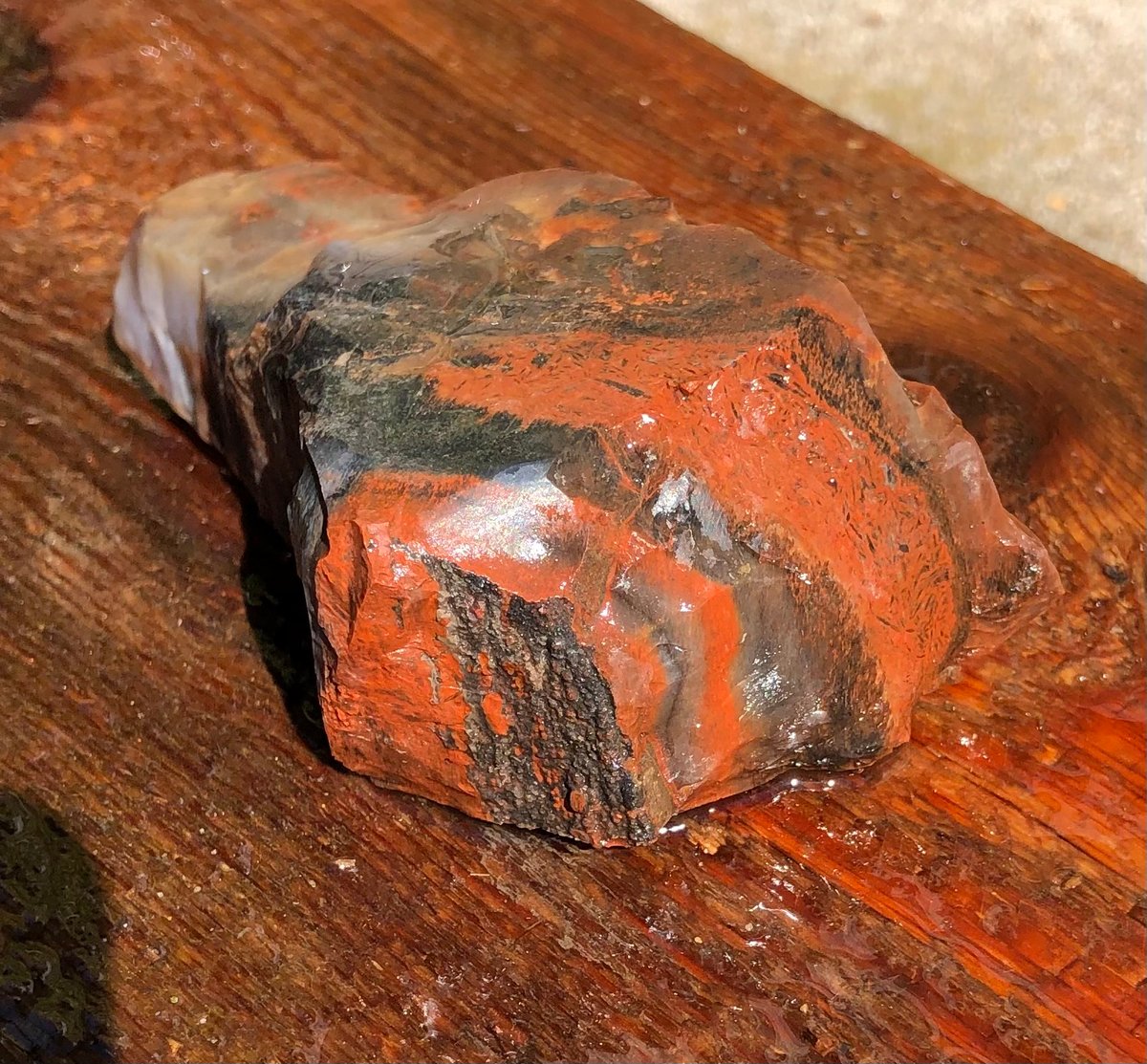 Image of Petrified wood - lil' black & red 8.3 oz