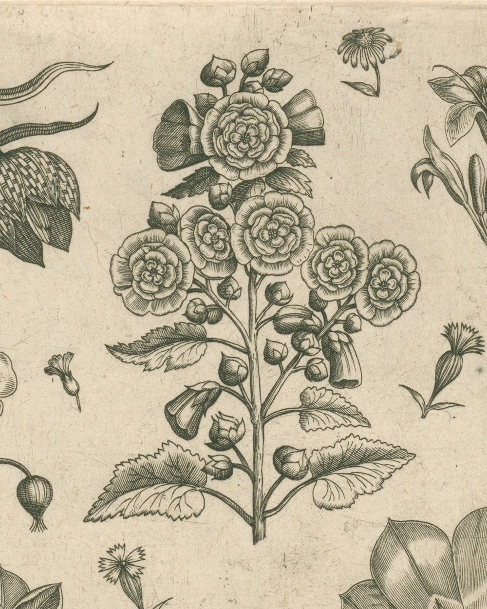 ''Various flowers including iris and violet'' (1570 - 1618)