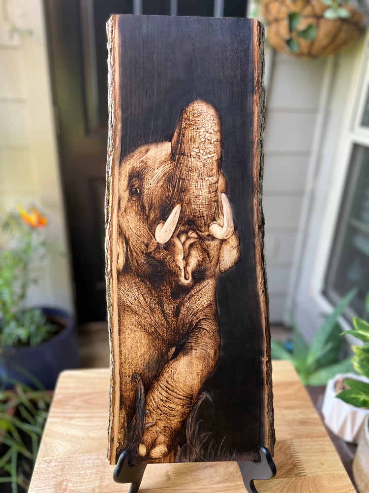 Image of Happy elephant Pyrography art