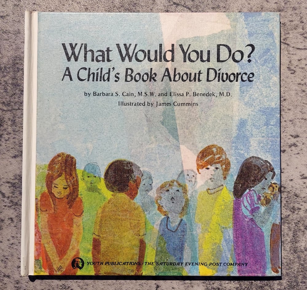 What Would You Do? A Child's Book About Divorce, by Barbara Cain