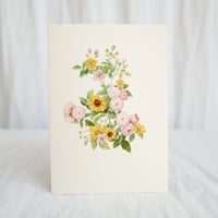 Pink and Yellow Rose Bush