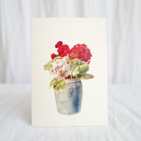 Geranium in Grey